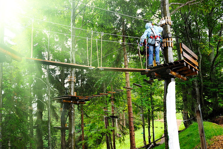 Arb'aventure - Parc Accrobranche Et Lancer De Hache