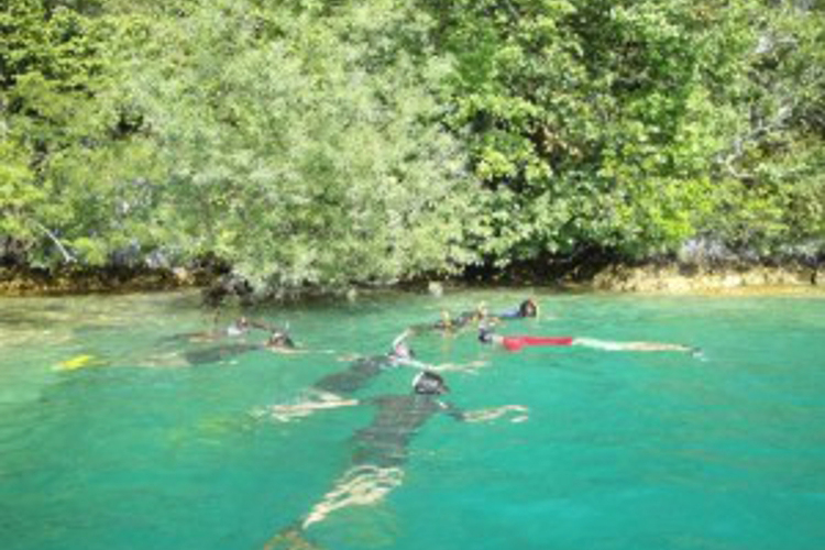 Enterrement de Vie de Garçon Annecy Crazy-evG Snorkeling