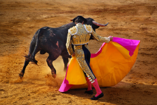 Corrida SÉMINAIRE best activity